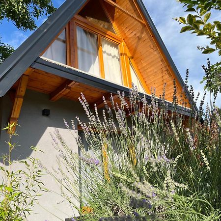 Petrovaradin Chalet Novi Sad Luaran gambar