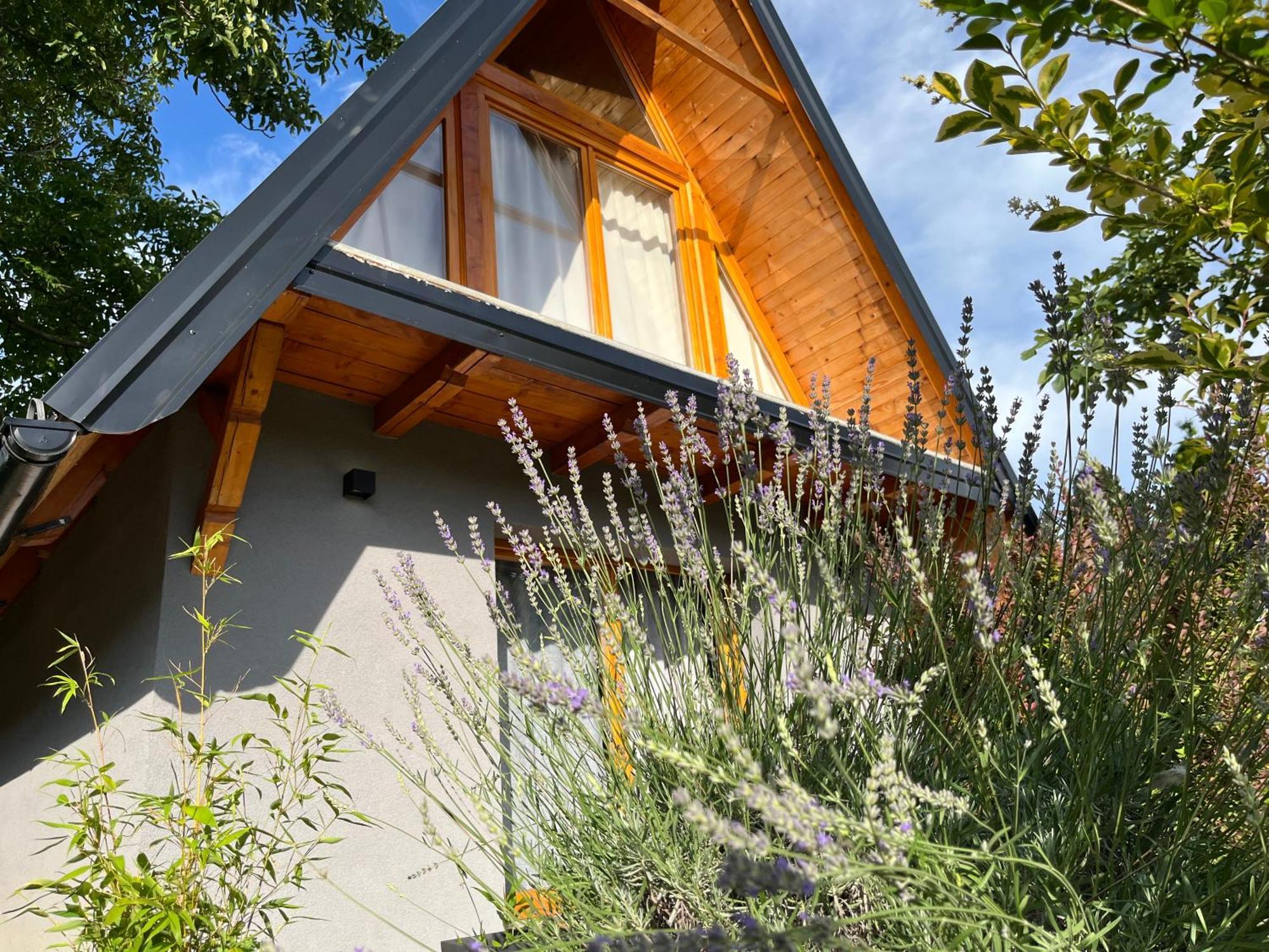 Petrovaradin Chalet Novi Sad Luaran gambar